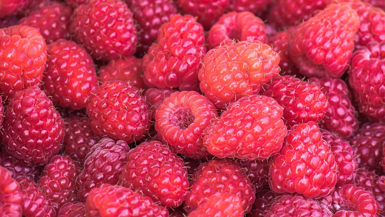 raspberries 3583005 1280 1