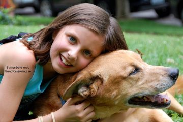 11 Fördelar med att Äga Hund – Varför Har Folk Hund?
