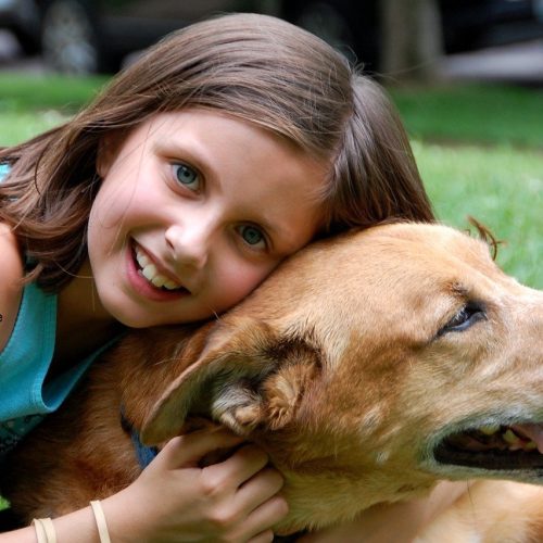 11 Fördelar med att Äga Hund – Varför Har Folk Hund?