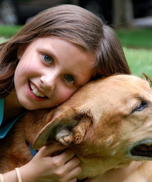11 Fördelar med att Äga Hund – Varför Har Folk Hund?