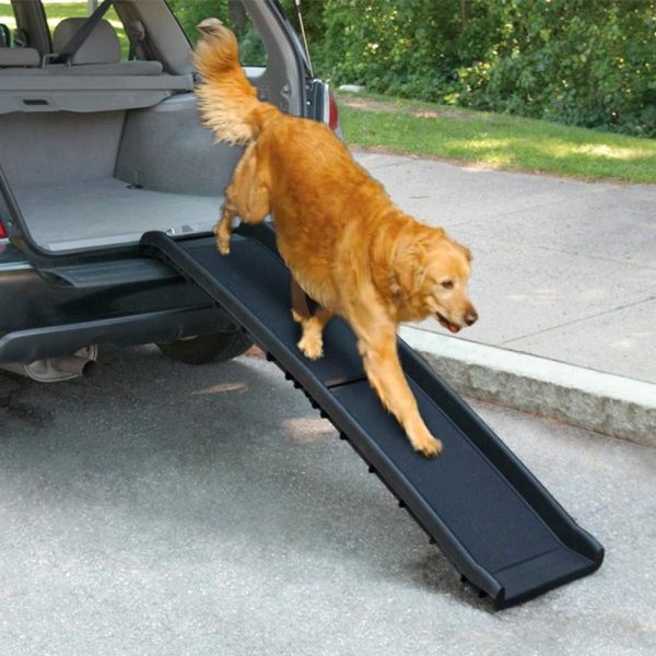 All For Paws Dog Bilramp (Plast)