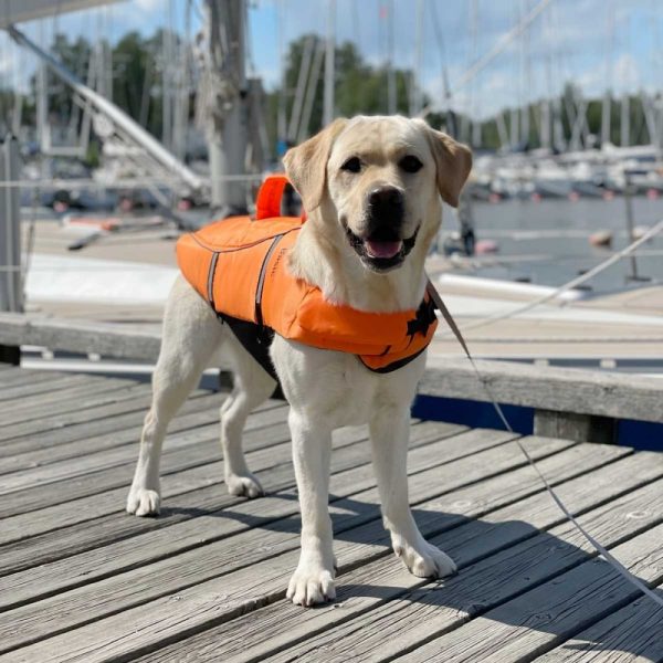 Basic Float Eco Hundflytväst Orange (XS)