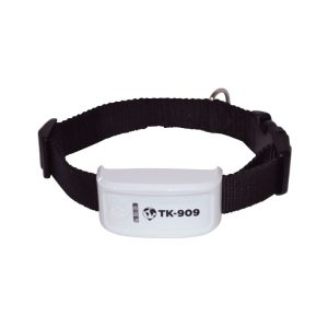 Winnes GPS TK-909